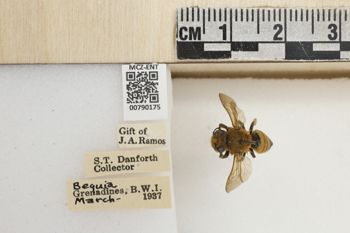 Media type: image;   Entomology 790175 Aspect: Labels